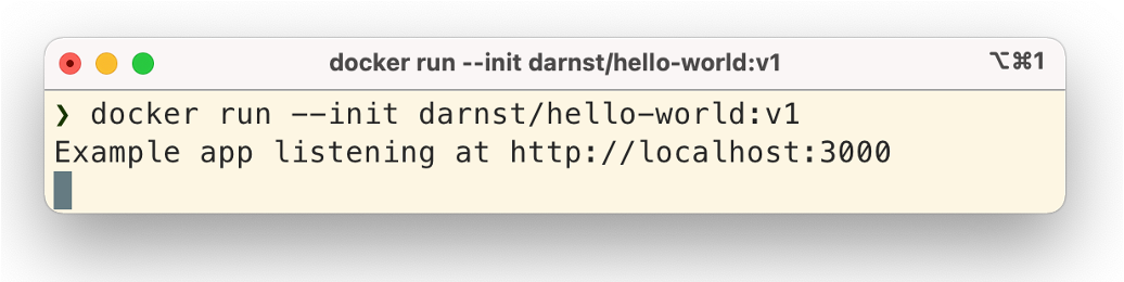 Docker Run